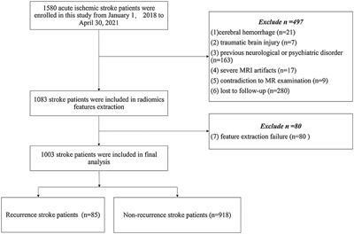 Diffusion-weighted imaging-based radiomics for predicting 1-year ischemic stroke recurrence